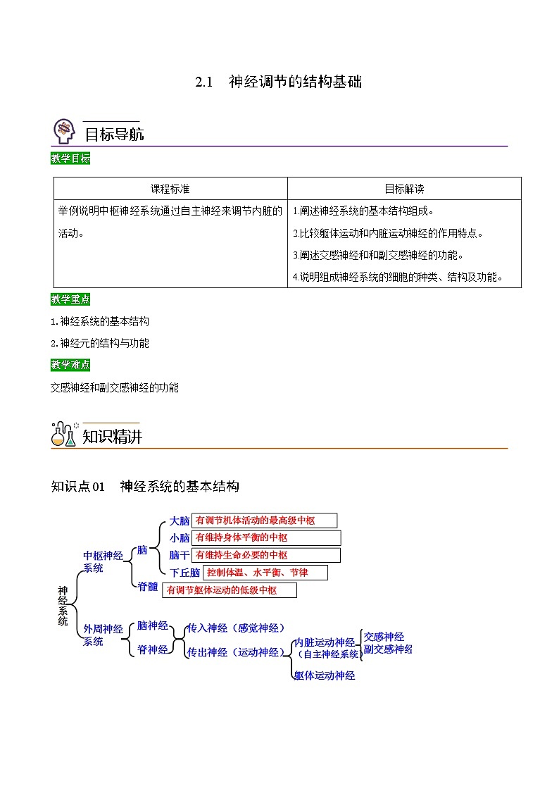 2.1 神经调节的结构基础(学生版)-高二生物同步精品讲义(人教版选择性必修1)第1页