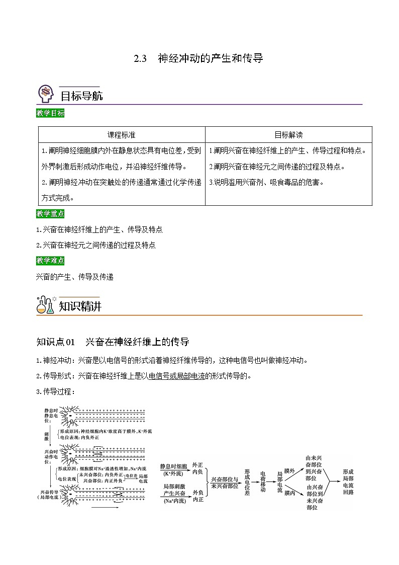 2.3 神经冲动的产生和传导(教师版)-高二生物同步精品讲义(人教版选择性必修1)第1页