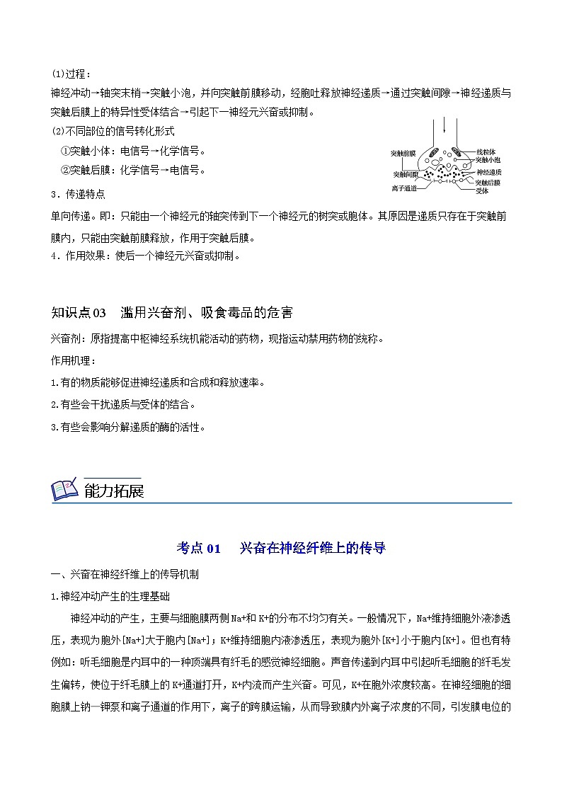 2.3 神经冲动的产生和传导(学生版)-高二生物同步精品讲义(人教版选择性必修1)第3页