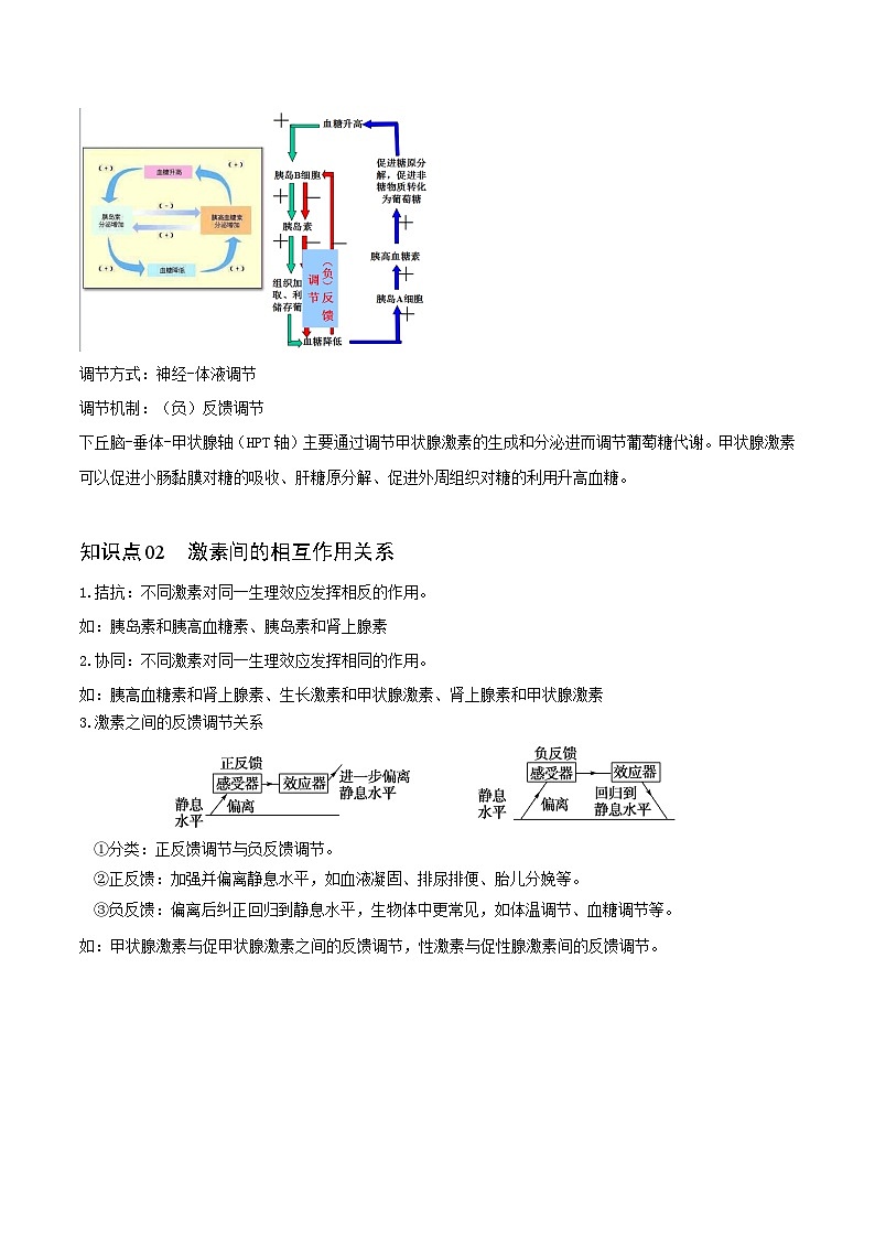 3.2 激素调节的过程-高二生物同步精品讲义(人教版选择性必修1)02