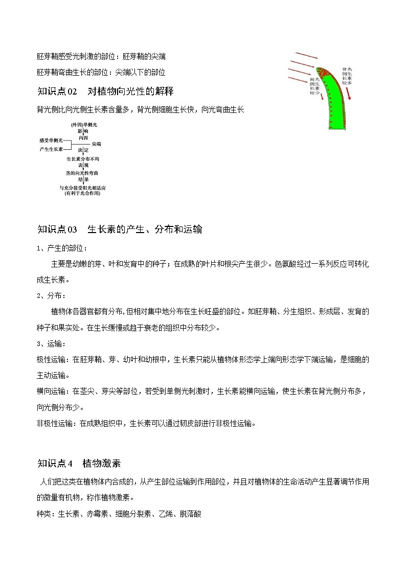 5.1 植物生长素(第1课时)-高二生物同步精品讲义(人教版选择性必修1)02