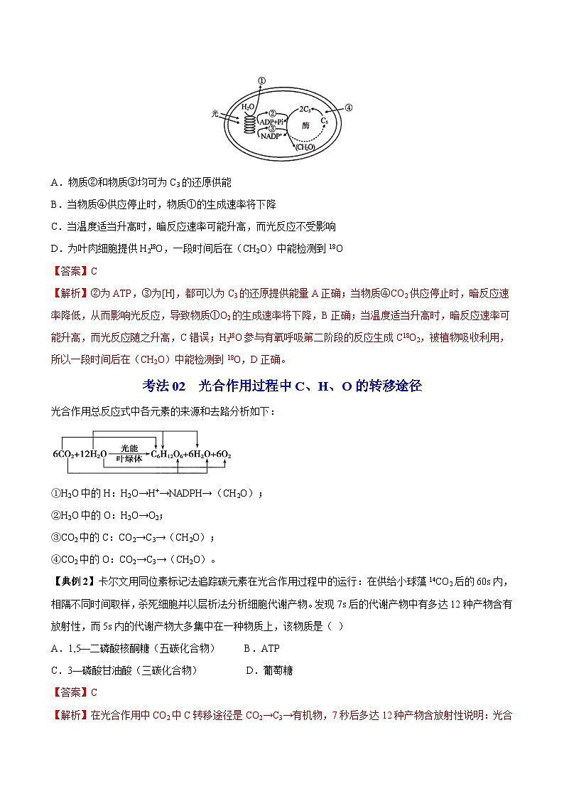 5.4 光合作用和能量转化(第2课时)-高一生物同步精品讲义(人教必修1)03