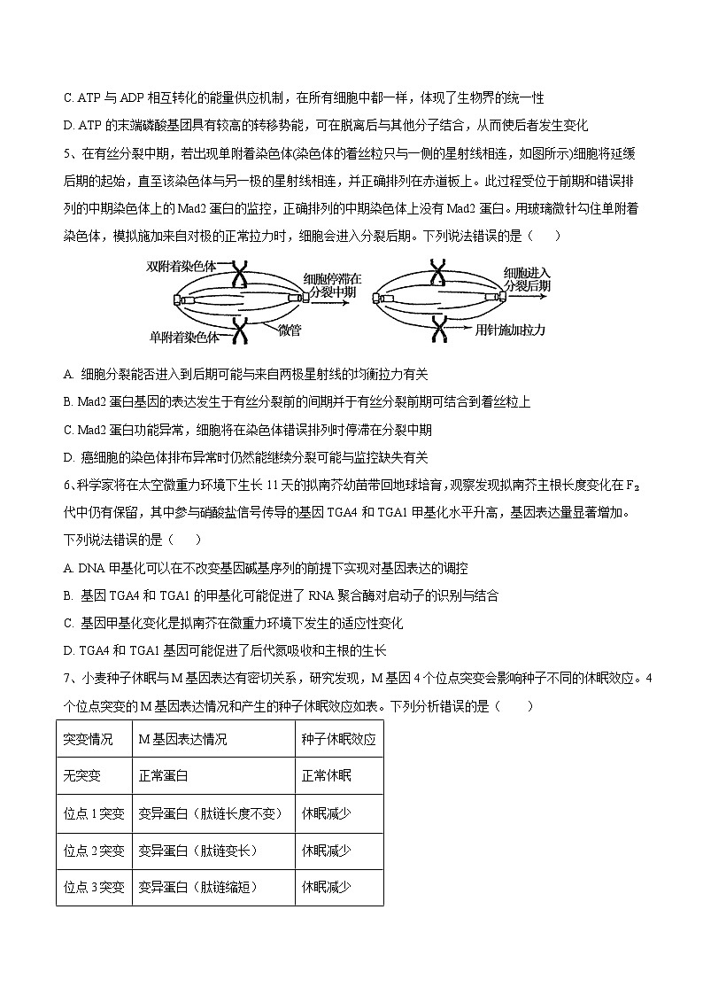 2024年高考生物考前信息必刷卷 02(安徽专用)(考试版)第3页