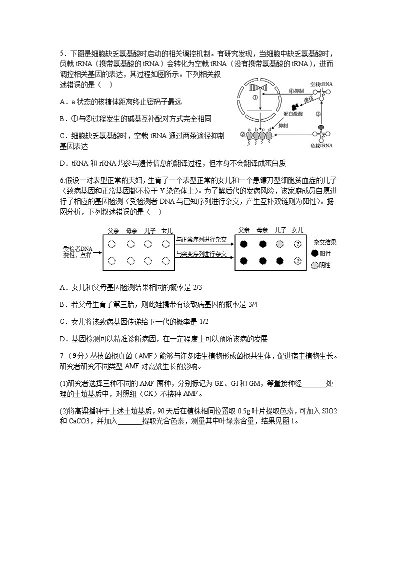 四川省内江市2023届高三二模生物试题(Word版附答案)第2页