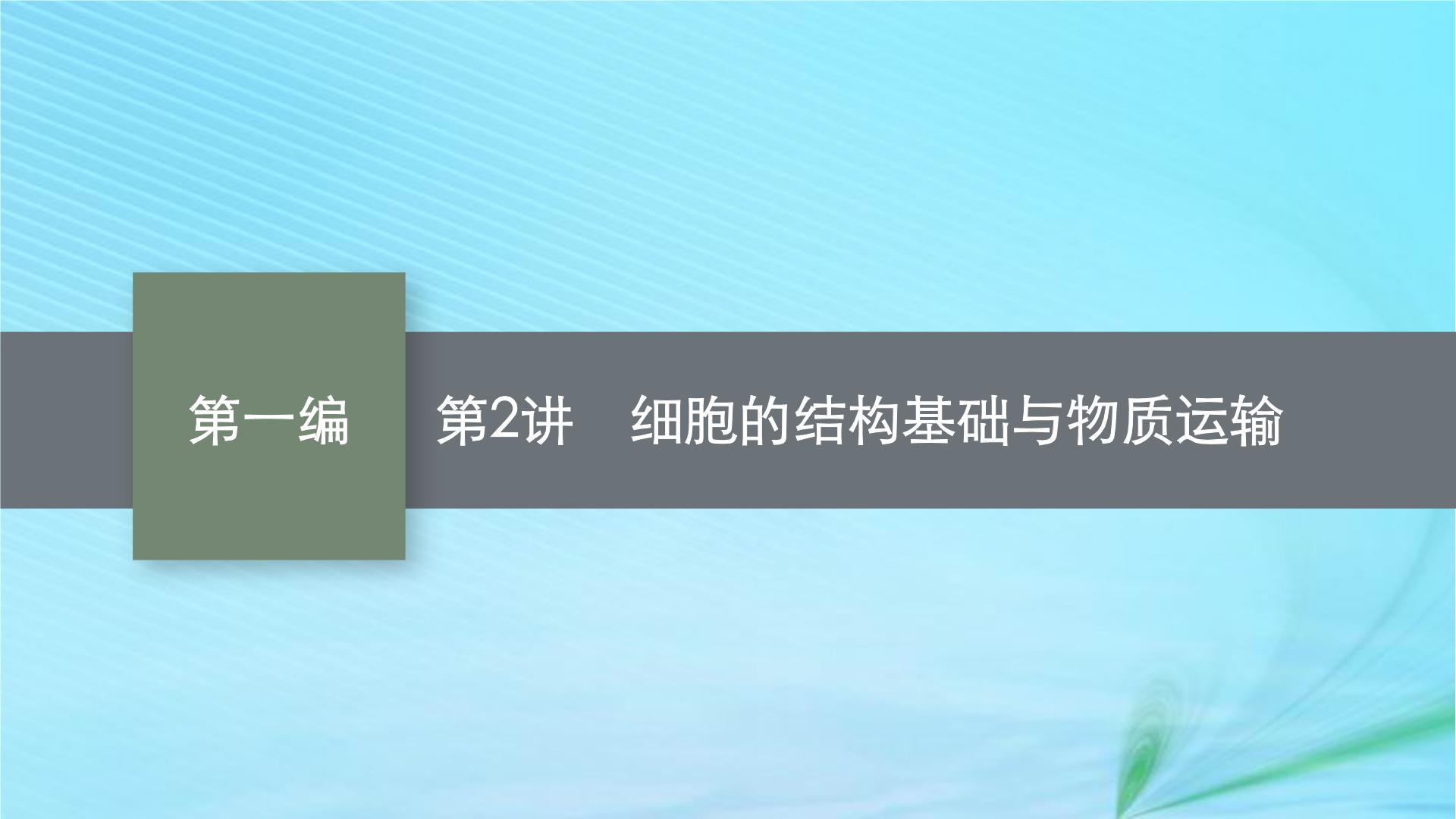 新高考新教材2024届高考生物二轮总复习专题一细胞的分子结构基础及物质运输第2讲细胞的结构基础与物质运输课件