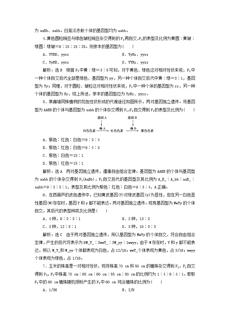2024春新教材高中生物課時(shí)跟蹤檢測四自由組合定律的應(yīng)用及解題方法練習(xí)（人教版必修2）第2頁