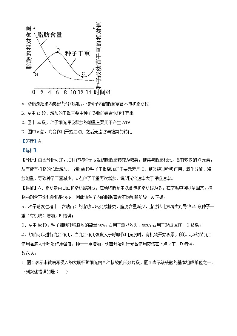 安徽省部分学校2023-2024学年高一2月开学考试生物试题  Word版含解析第3页