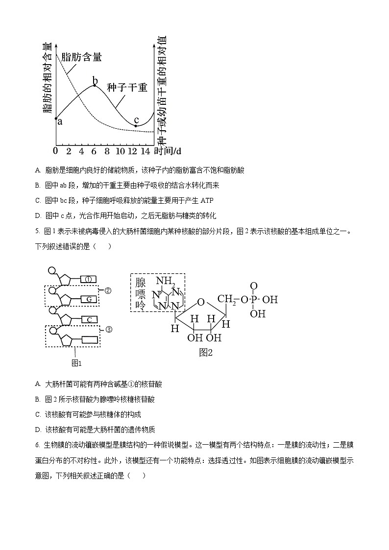 安徽省部分学校2023-2024学年高一2月开学考试生物试题  Word版无答案第2页