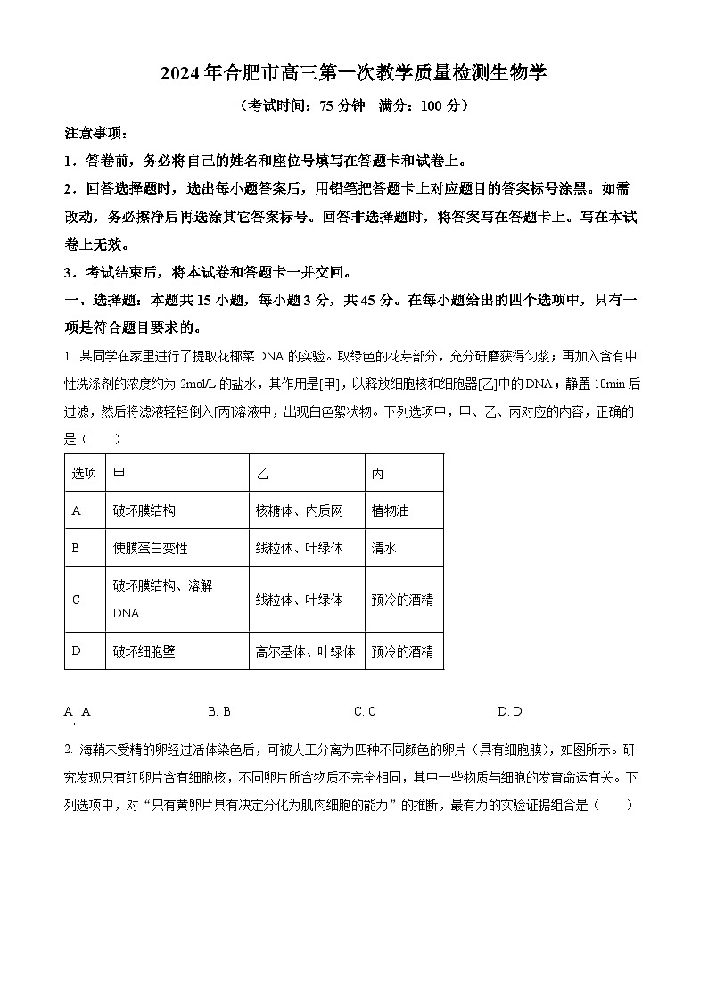 2024届安徽省合肥市高三一模生物试题 Word版无答案第1页