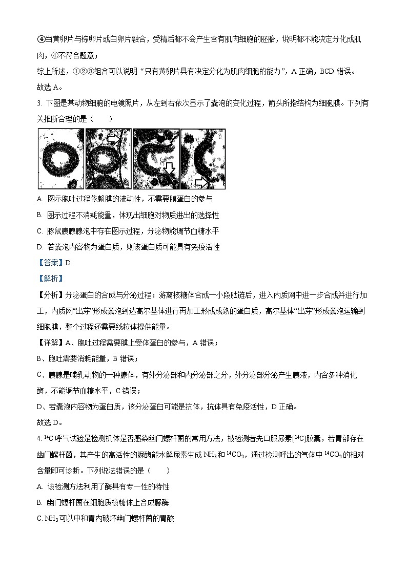 2024届安徽省合肥市高三一模生物试题 Word版含解析第3页
