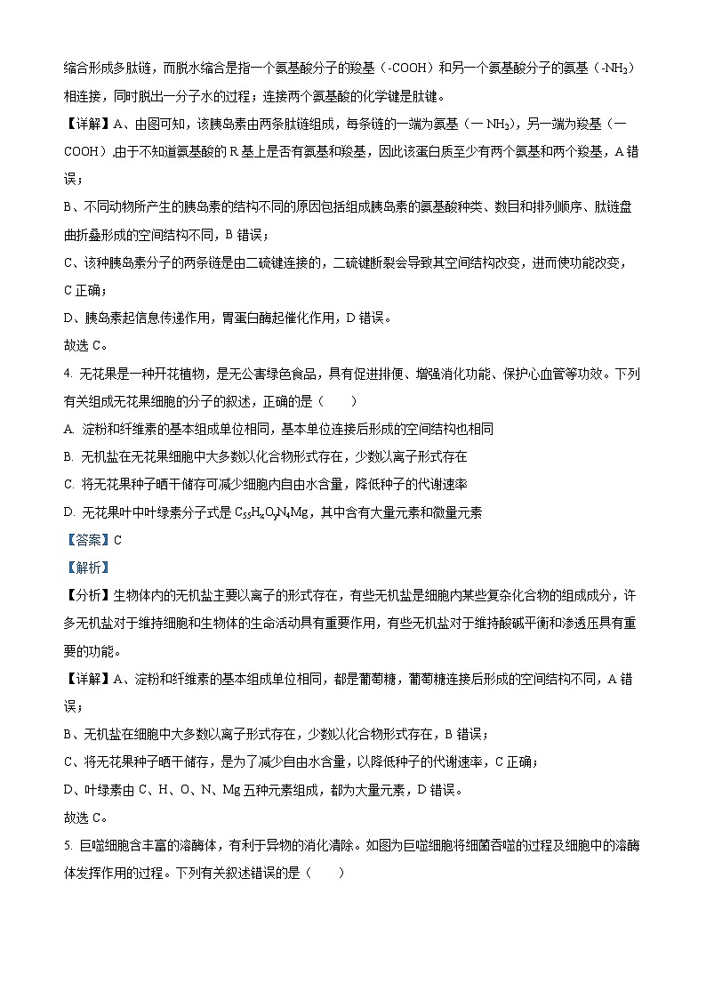 精品解析:辽宁省本溪市一中2023-2024学年高一下学期开学生物试题(解析版)第3页