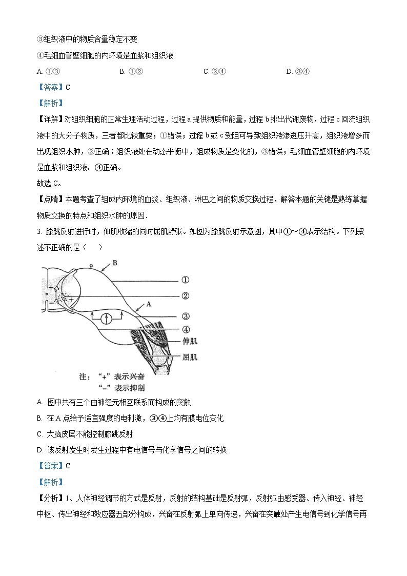 湖南省怀化市雅礼实验学校2022-2023学年高二上学期期中生物试题（原卷版+解析版）02