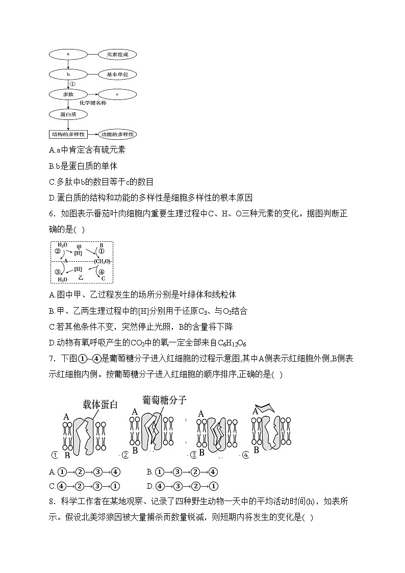 海南省农垦中学2024届高三上学期期末考试生物(A卷)试卷(含答案)02