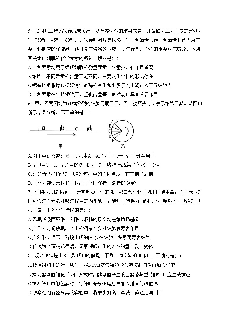 四川省仁壽第一中學(xué)南校區(qū)2023-2024學(xué)年高一下學(xué)期開學(xué)考試生物試卷(含答案)第2頁