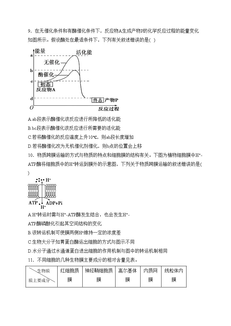 四川省仁壽第一中學(xué)南校區(qū)2023-2024學(xué)年高一下學(xué)期開學(xué)考試生物試卷(含答案)第3頁