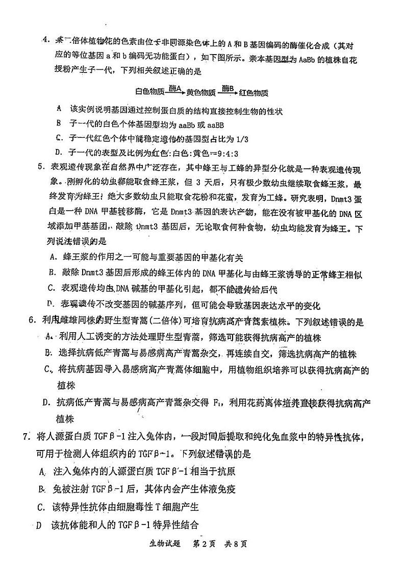 2024届广东省惠州市高三第一次调研考试生物试卷02
