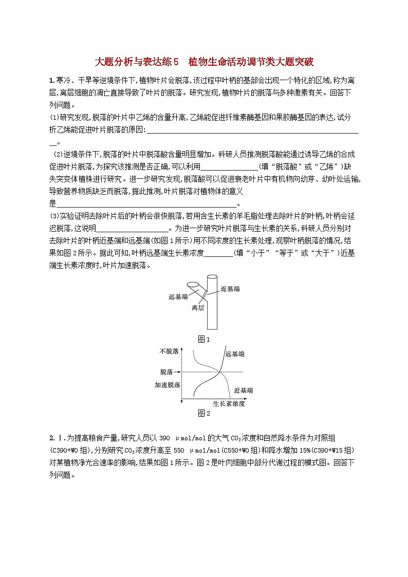2024届新高考生物二轮总复习大题分析与表达练5植物生命活动调节类大题突破(附解析)01