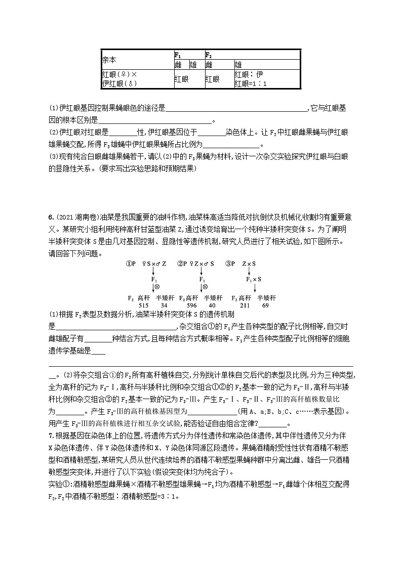 2024届新高考生物二轮总复习大题分析与表达练2遗传类大题突破(附解析)03