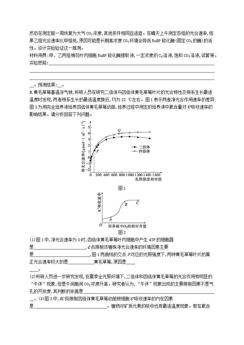 2024届新高考生物二轮总复习大题分析与表达练1细胞代谢类大题突破(附解析)第2页