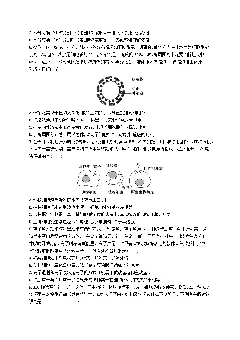 2024屆新高考生物二輪總復(fù)習(xí)專題突破練2細(xì)胞的結(jié)構(gòu)基礎(chǔ)與物質(zhì)運(yùn)輸（附解析）第2頁