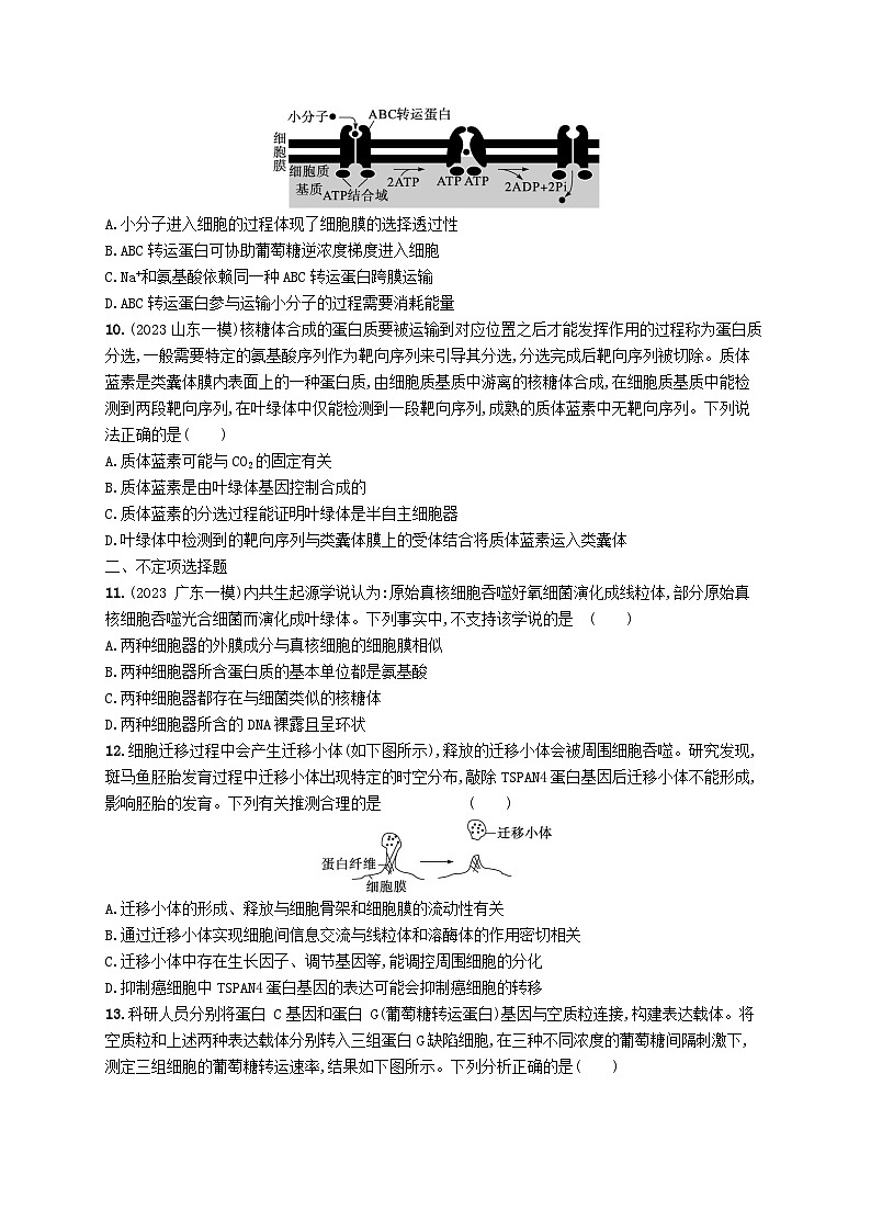 2024屆新高考生物二輪總復(fù)習(xí)專題突破練2細(xì)胞的結(jié)構(gòu)基礎(chǔ)與物質(zhì)運(yùn)輸（附解析）第3頁