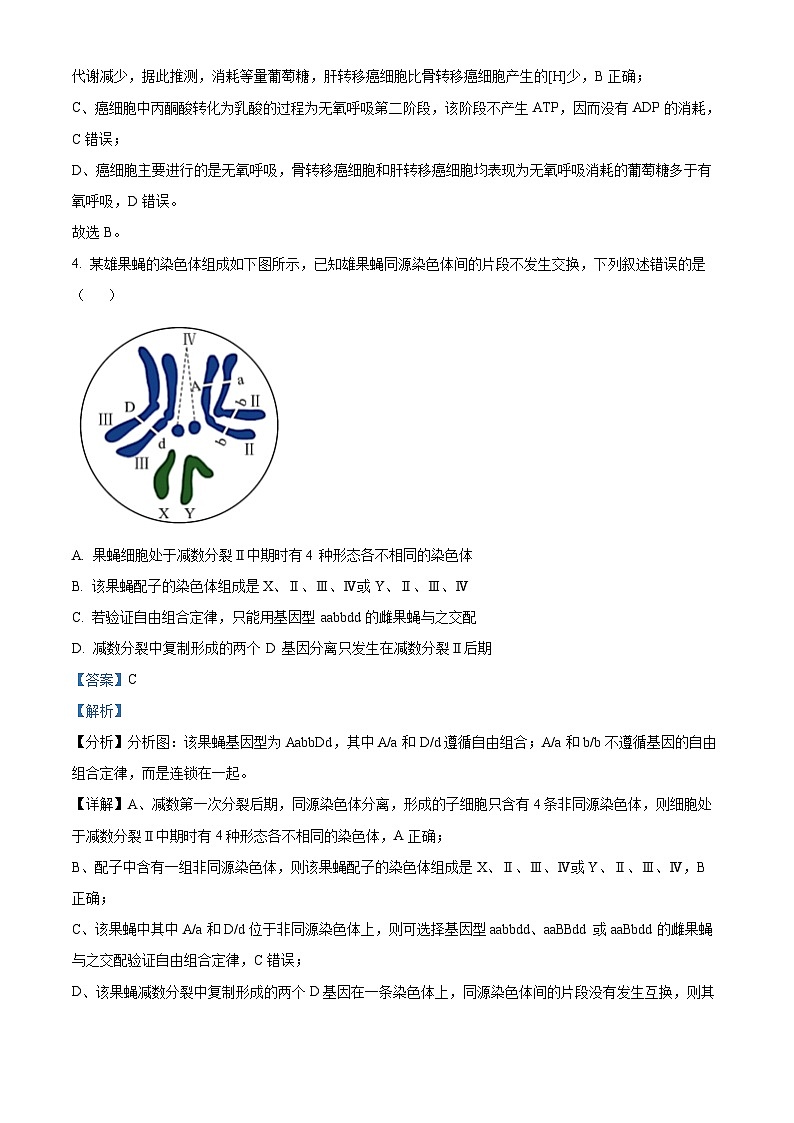 2024蚌埠高三下学期第三次教学质量检查考试生物试题含解析03