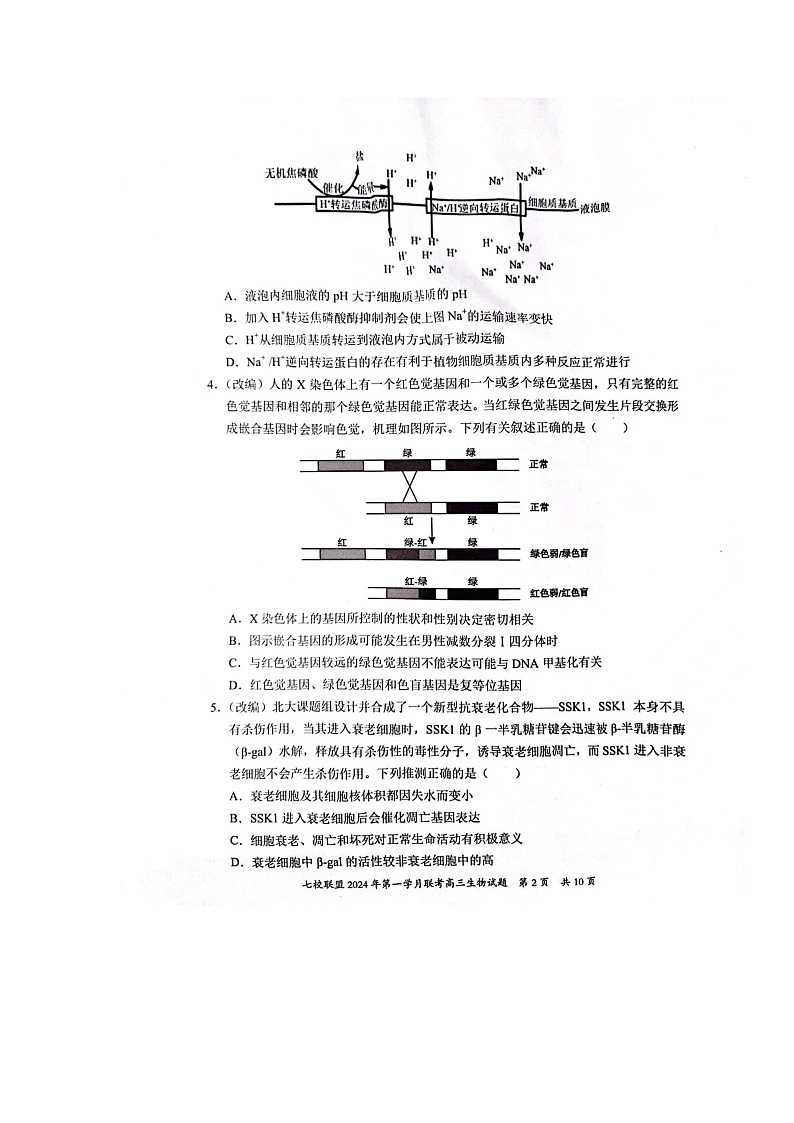 重庆市七校联盟2023-2024学年高三下学期第一次月考生物第2页