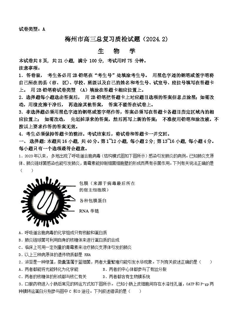 2024届广东省梅州市高三一模生物试题01