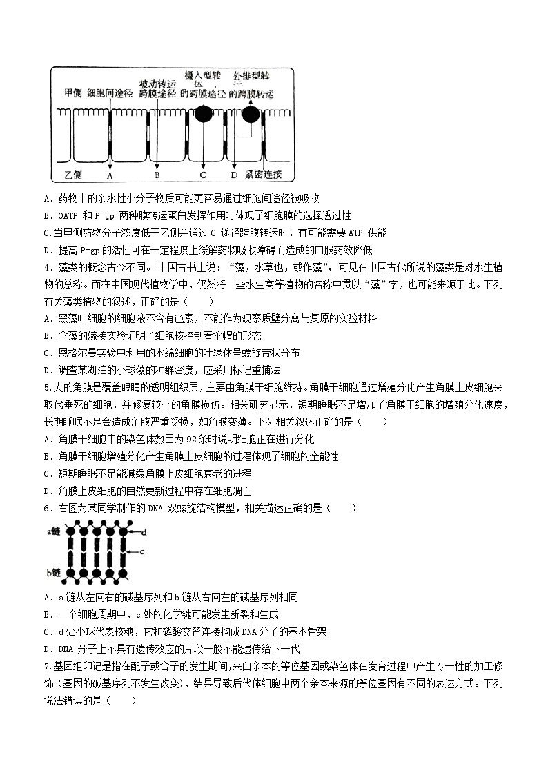2024届广东省梅州市高三一模生物试题02