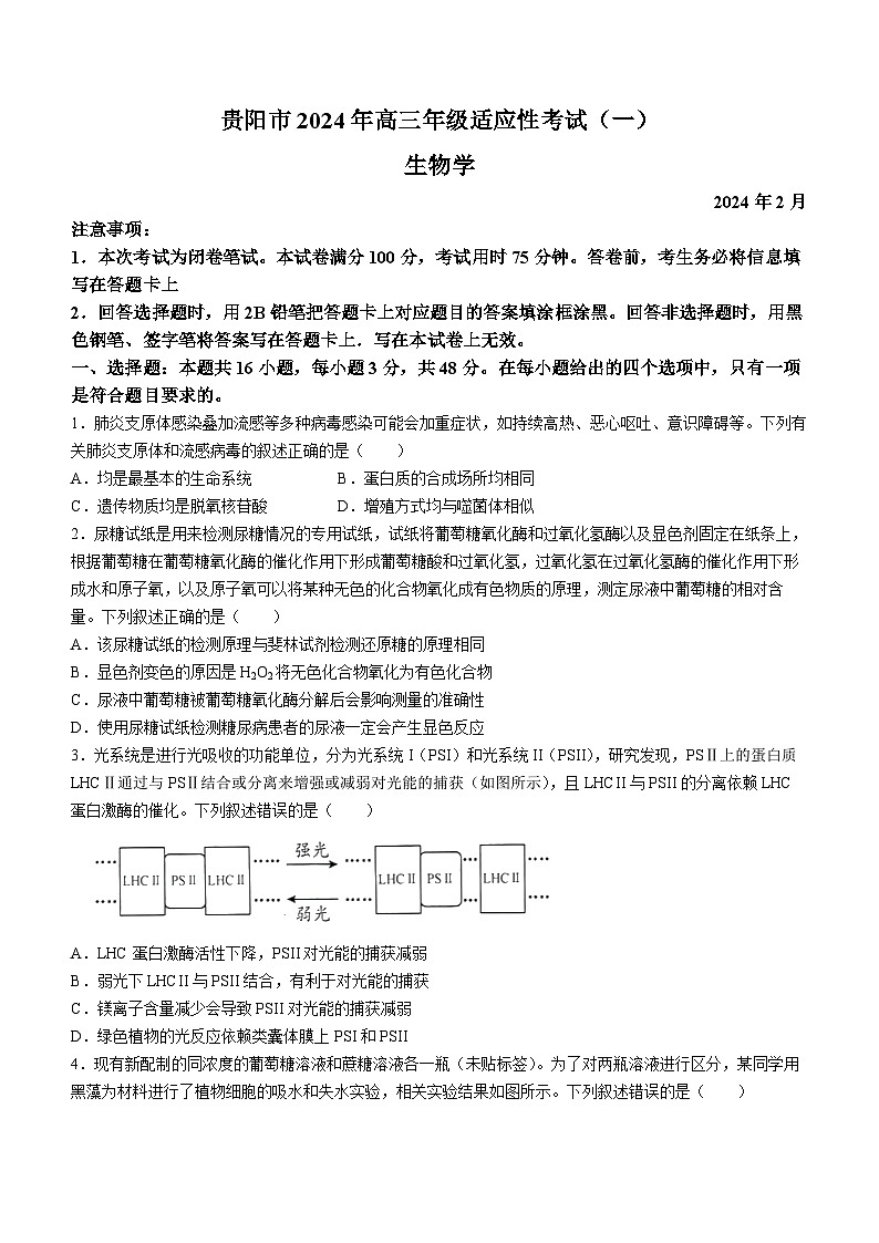 2024届贵州省贵阳市高三适应性测试(一)生物试题01