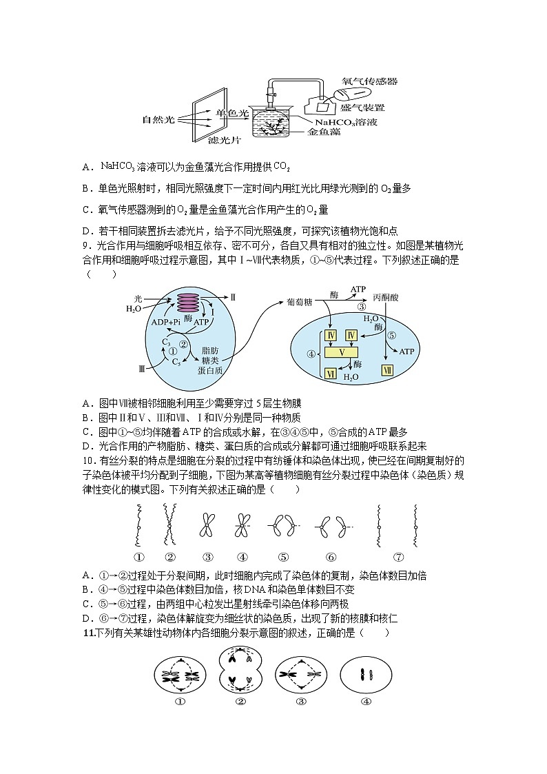 河北省沧州市盐山县盐山中学2023-2024学年高一上学期开学生物试题03