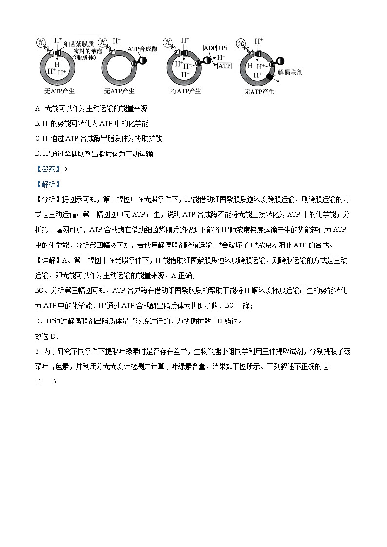 湖南省长沙市雅礼中学2023-2024学年高三下学期月考(七)生物试题 Word版含解析第2页