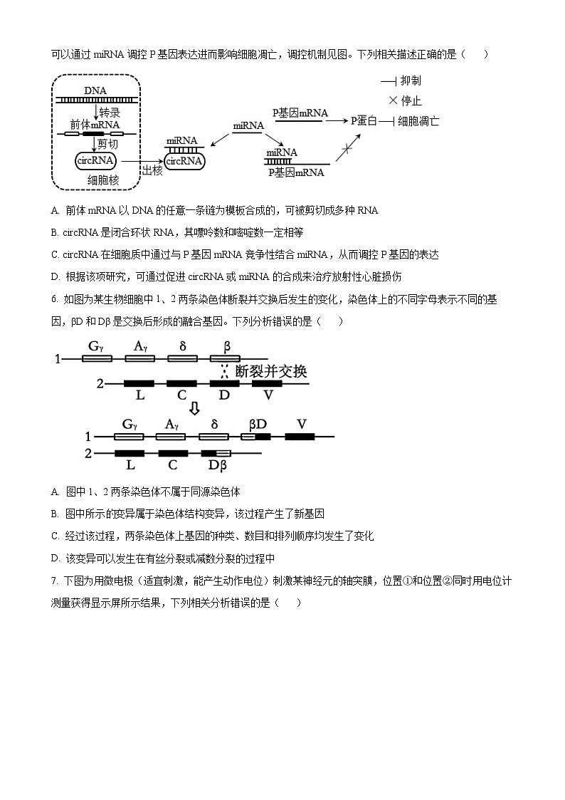 湖南省长沙市雅礼中学2023-2024学年高三下学期月考(七)生物试题 Word版无答案第3页