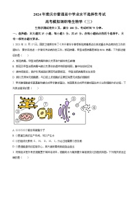 重慶市（康德卷）2024屆高三普通高等學校招生全國統(tǒng)一考試高考模擬調研卷（三）生物試卷（Word版附解析）