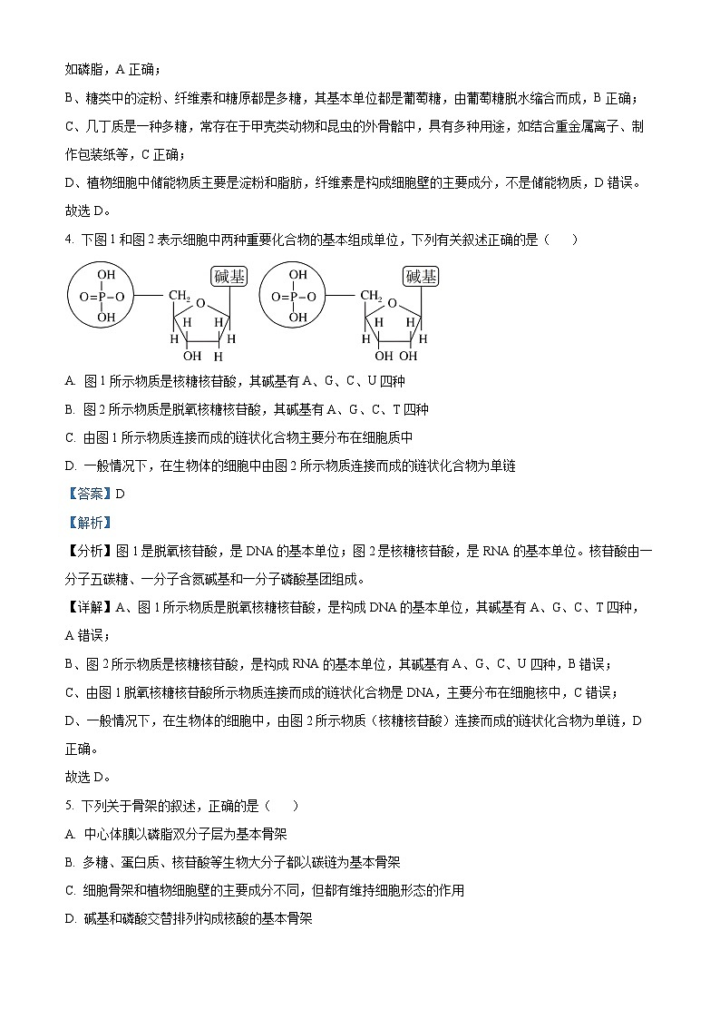 安徽省阜阳市阜南县2023-2024学年高一上学期期末生物试卷(Word版附解析)03