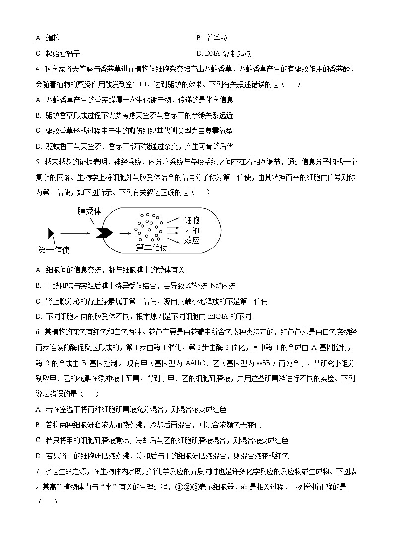 安徽省阜阳市2023-2024学年高三下学期开学教学质量统测生物试卷(Word版附解析)02