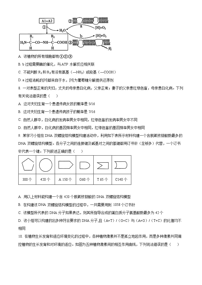 安徽省阜阳市2023-2024学年高三下学期开学教学质量统测生物试卷(Word版附解析)03