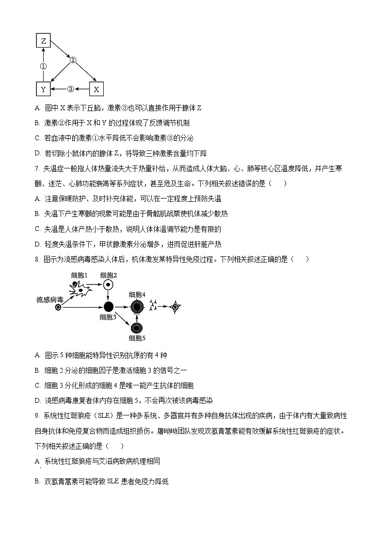 安徽省淮南市第一中学2023-2024学年高二下学期开学考试生物试卷(Word版附解析)03