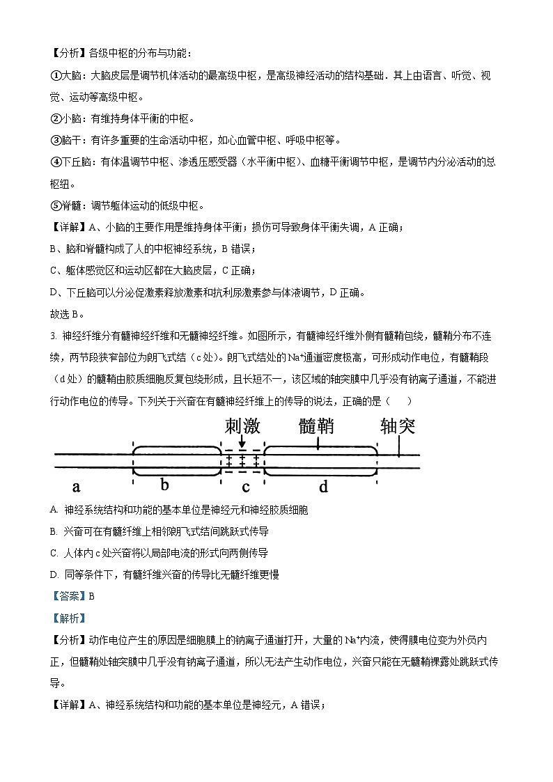 安徽省淮北市一中2023-2024学年高二下学期开学考试生物试题 Word版含解析第2页