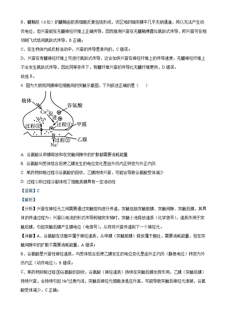 安徽省淮北市一中2023-2024学年高二下学期开学考试生物试题 Word版含解析第3页
