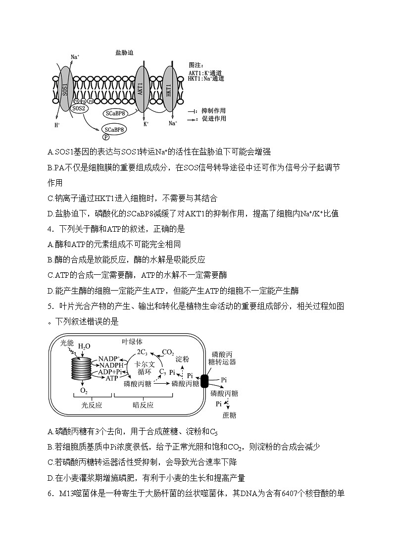 江苏省建湖高级中学2023-2024学年高一下学期期初学情检测生物试卷(含答案)第2页