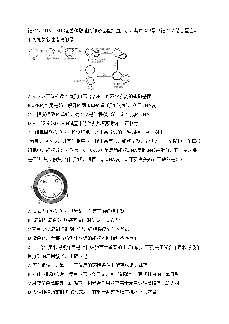 江苏省建湖高级中学2023-2024学年高一下学期期初学情检测生物试卷(含答案)第3页