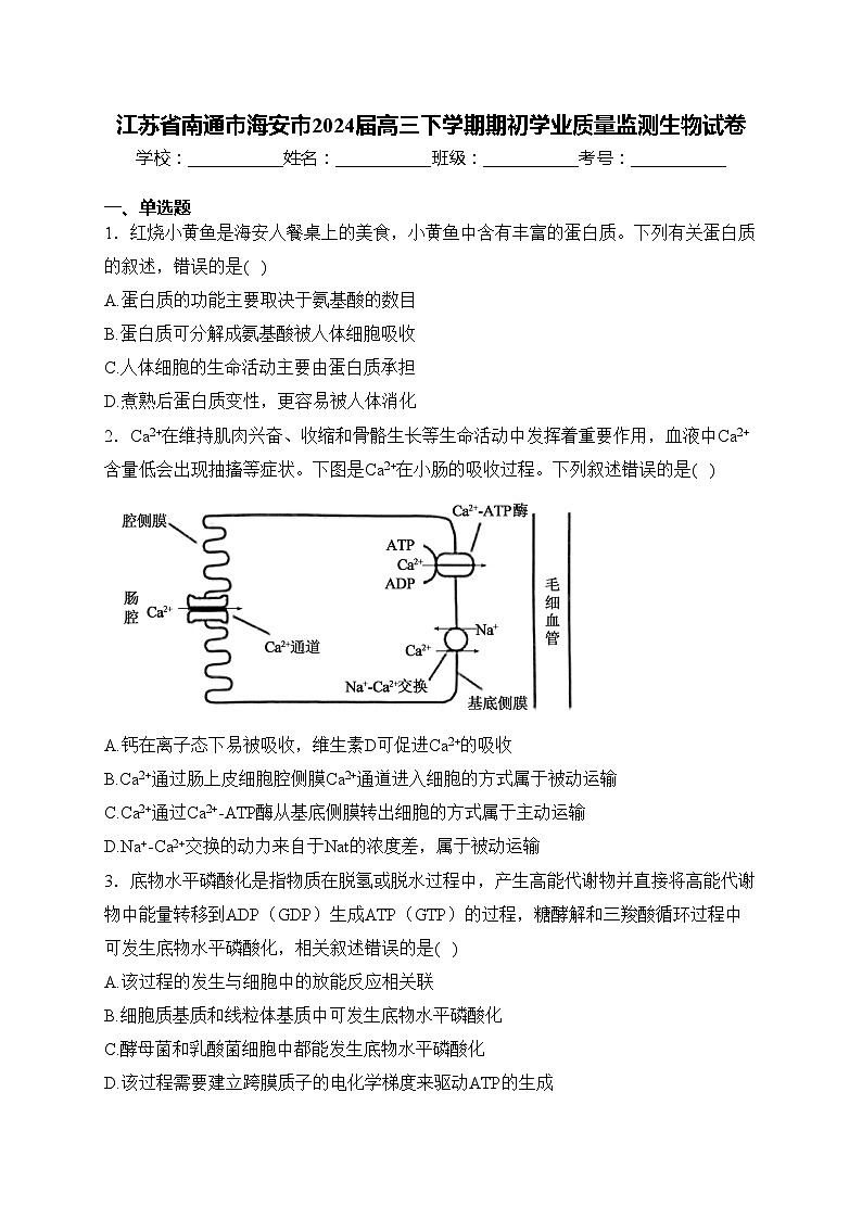 江苏省南通市海安市2024届高三下学期期初学业质量监测生物试卷(含答案)第1页