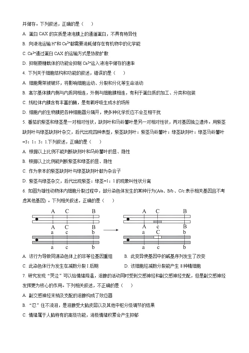 2024届吉林省延边州高三下学期教学质量检测(一模)生物试题(原卷版)第2页