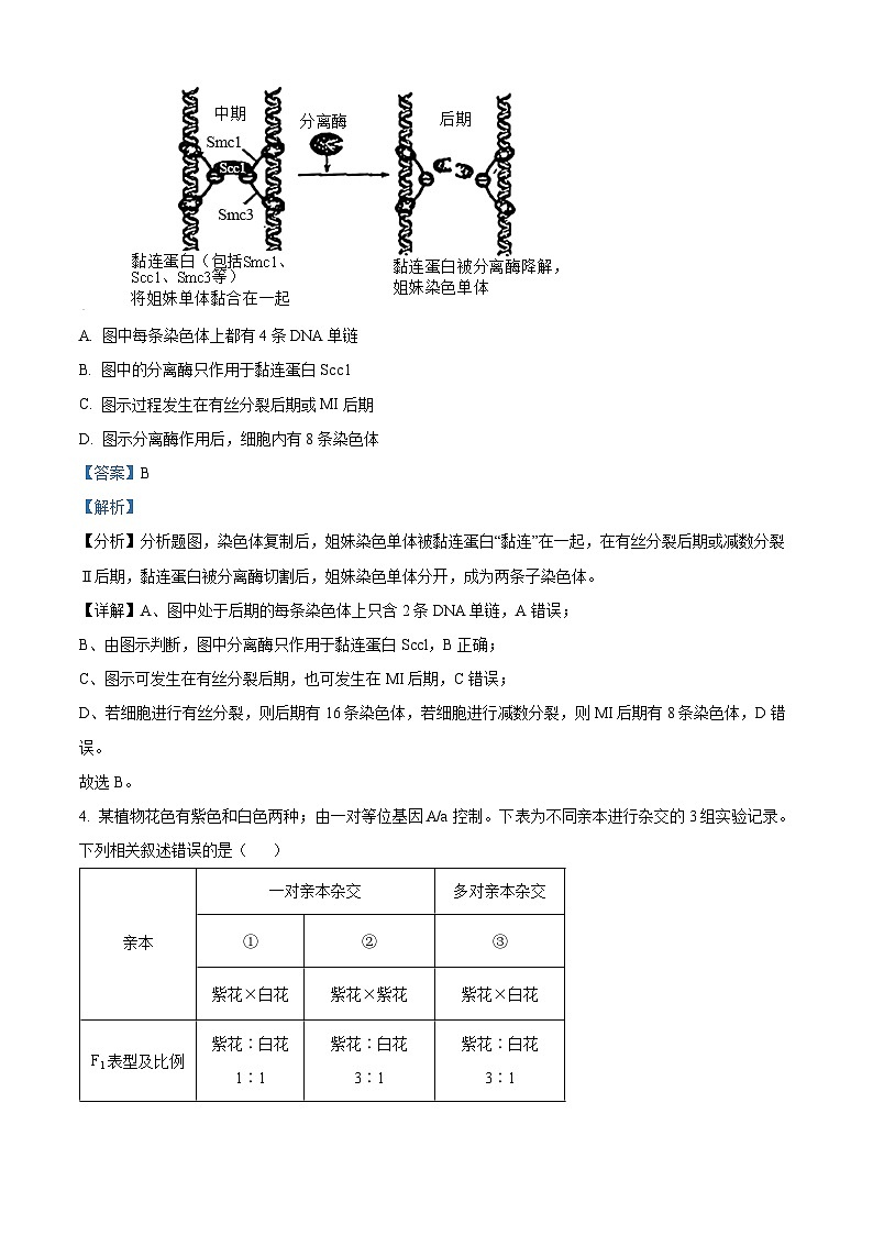 安徽省部分学校2023-2024学年高三下学期开学考试生物试题 Word版含解析03