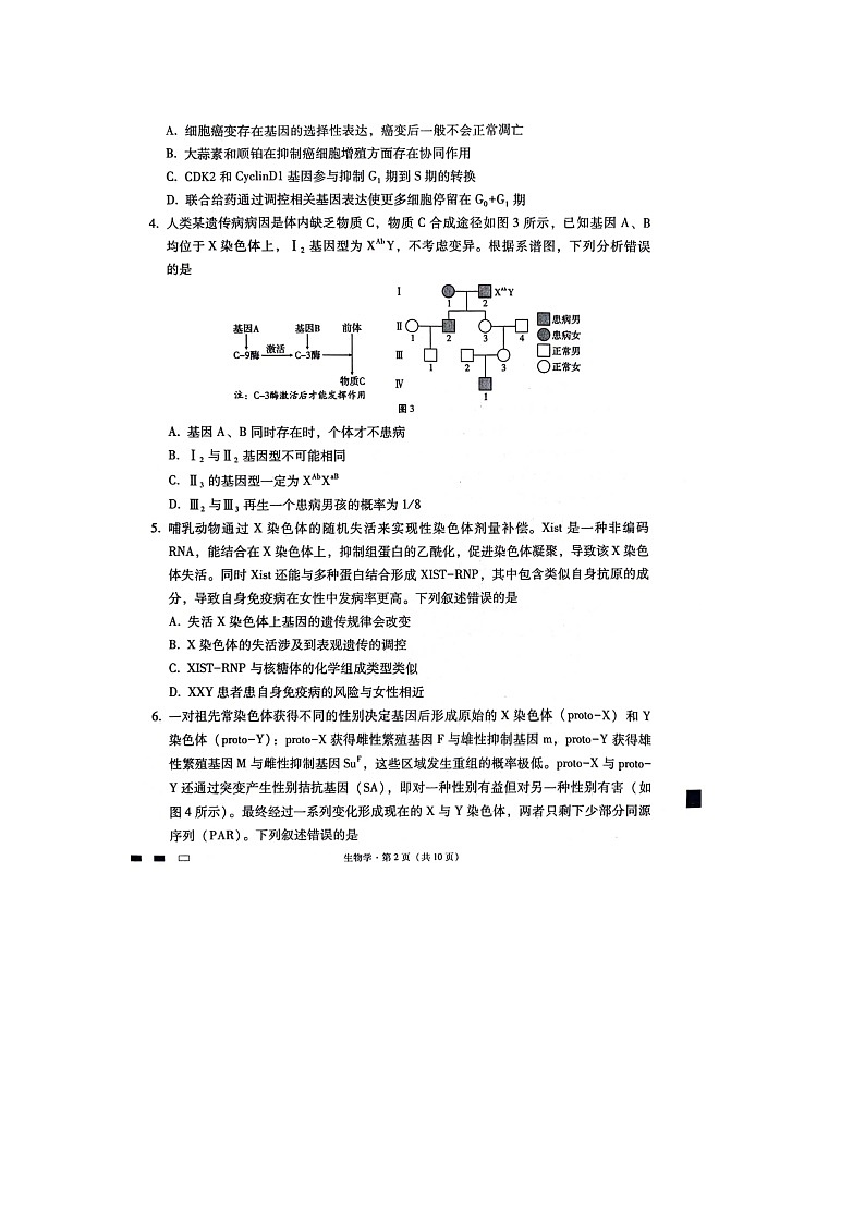 重庆市渝中区重庆市巴蜀中学校2023-2024学年高三下学期3月月考生物试题第2页