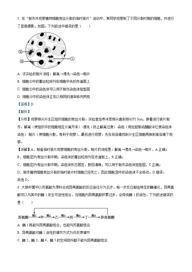 精品解析:浙江省杭州市淳安县汾口中学2023-2024学年高二下学期3月月考生物试题(解析版)第3页