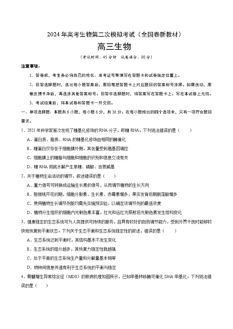 2024年高考第二次模拟考试卷:生物(全国卷新教材)(考试卷版)A401