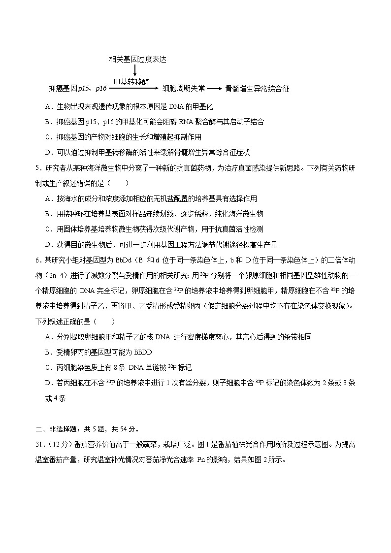 2024年高考第二次模拟考试卷:生物(全国卷新教材)(考试卷版)A402