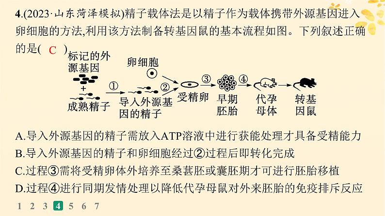 备战2025届新高考生物一轮总复习第10单元生物技术与工程课时规范练51胚胎工程课件第8页